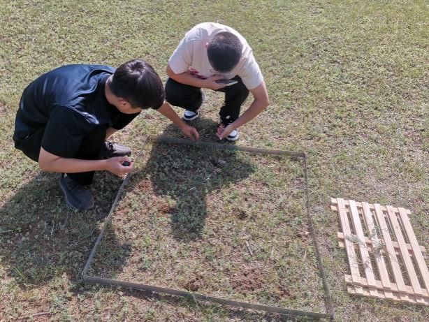 ca0d71af28d133cbf0b084085516901