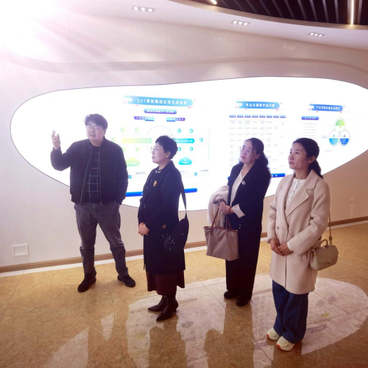 图示, 示意图

中度可信度描述已自动生成:ver1