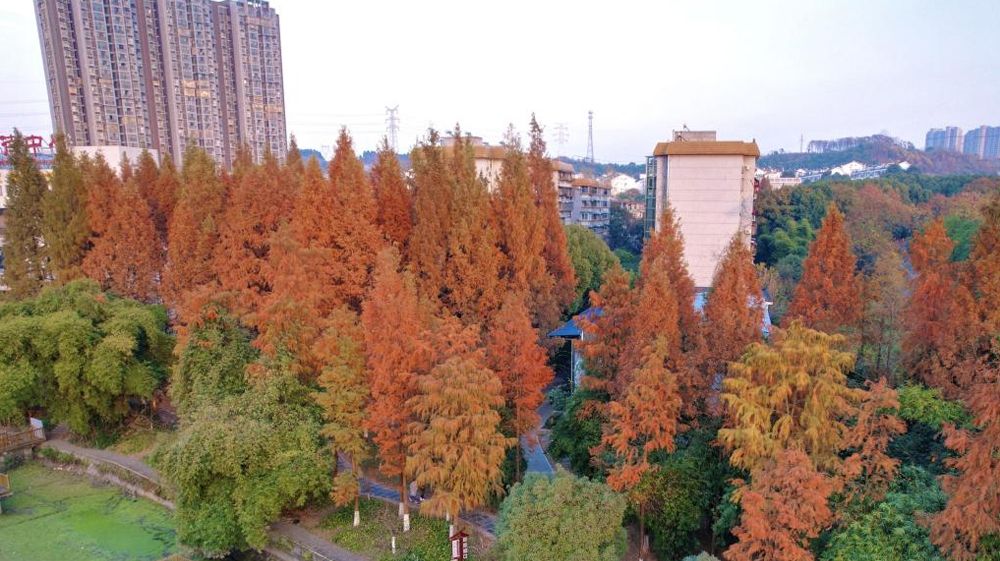美加墨世界杯官方网站风景