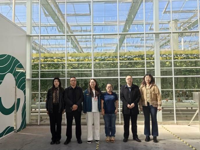 cde9168a209358747557f4a33175005