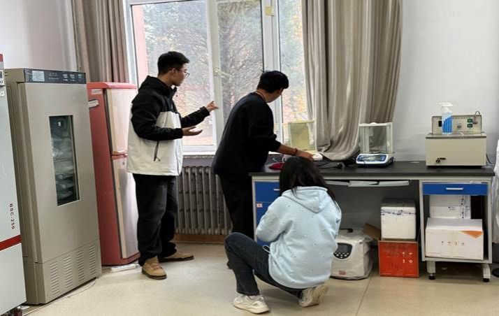 图示, 示意图

中度可信度描述已自动生成:ver1